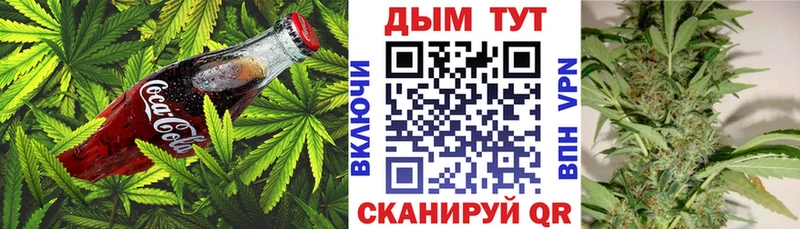 Cannafood конопля  наркошоп  Назрань 