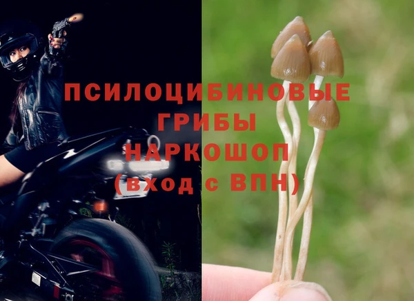 герыч Абинск