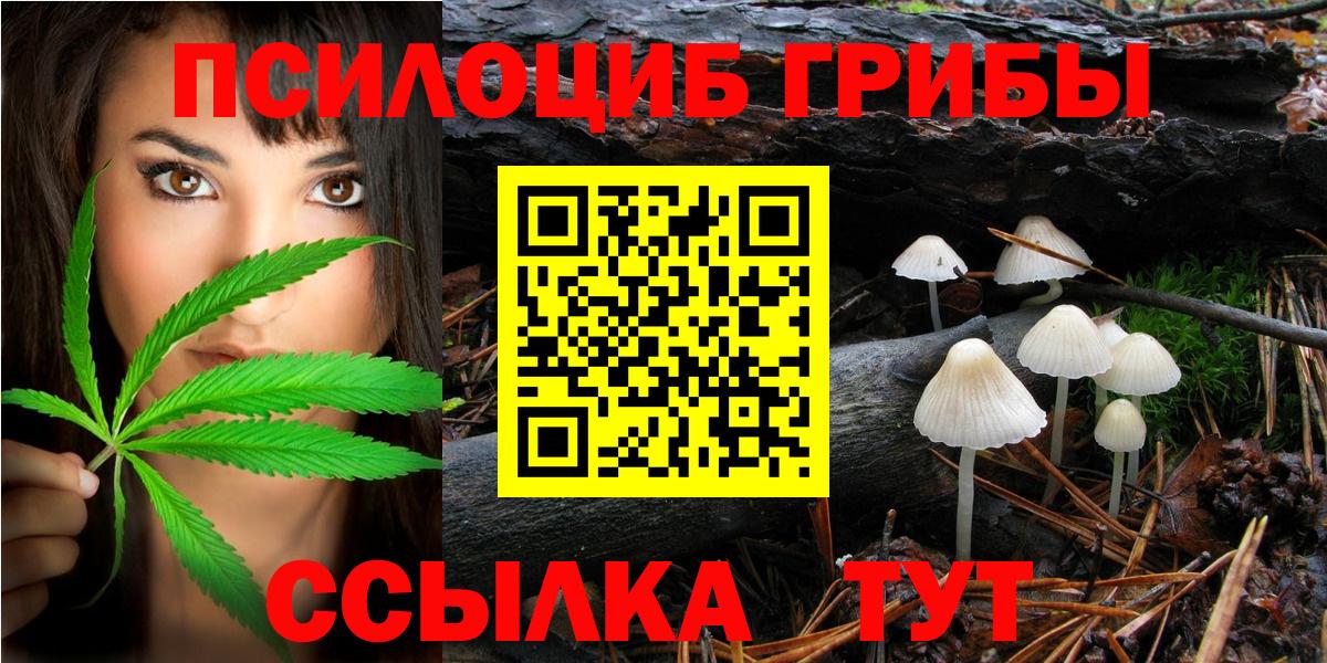 Галлюциногенные грибы Psilocybine cubensis  Псилоцибиновые грибы GOLDEN TEACHER  Назрань  Вход с VPN 